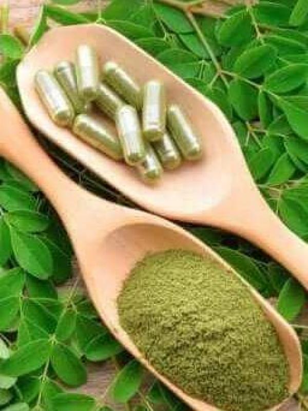Benefit of moringa for liver