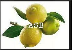 Citron copier 