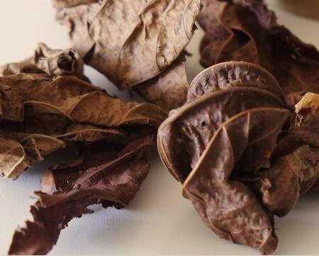 Feuilles de djeka 1