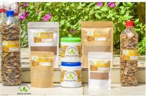 Les benefices du gingembre